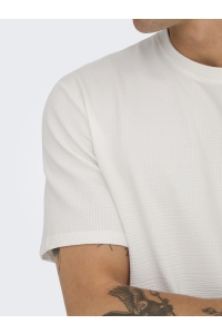 ONLY&SONS ONSKIAN LIFE REG SEERSUCKER SS TEE : cloud dancer