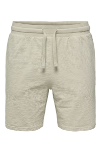 ONLY&SONS ONSKIAN LIFE REG SEERSUCKER SHORTS : silver lining