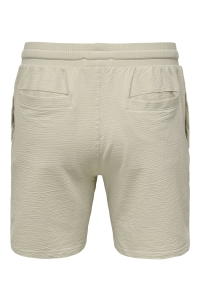 ONLY&SONS ONSKIAN LIFE REG SEERSUCKER SHORTS : silver lining