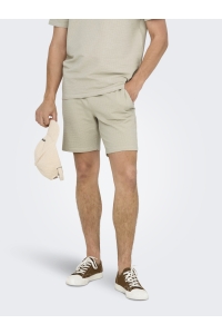 ONLY&SONS ONSKIAN LIFE REG SEERSUCKER SHORTS : silver lining