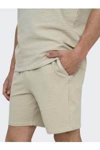 ONLY&SONS ONSKIAN LIFE REG SEERSUCKER SHORTS : silver lining