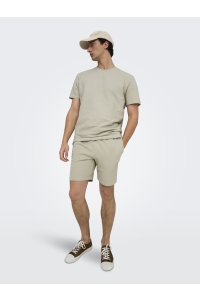 ONLY&SONS ONSKIAN LIFE REG SEERSUCKER SHORTS : silver lining