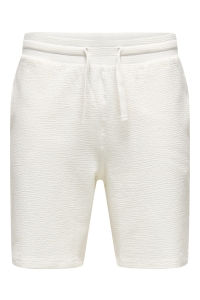 ONLY&SONS ONSKIAN LIFE REG SEERSUCKER SHORTS : cloud dancer