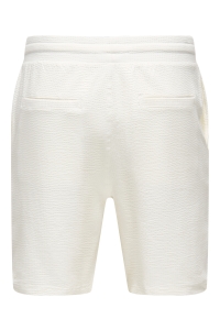 ONLY&SONS ONSKIAN LIFE REG SEERSUCKER SHORTS : cloud dancer