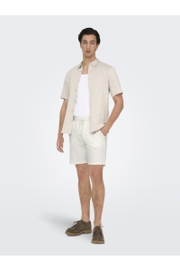 ONLY&SONS ONSKIAN LIFE REG SEERSUCKER SHORTS : cloud dancer