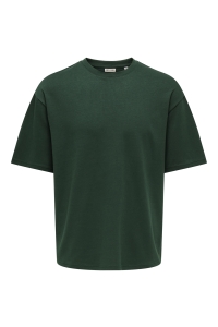 Only and Sons ONSCASPIAN AIRFLEX AUT SS TEE NOOS pine grove