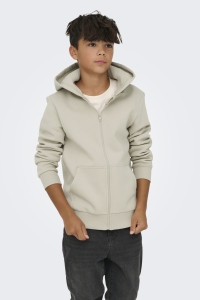 Only and Sons OSJCERES ZIP THR. HOODIE SWT NOOS silver lining