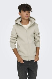 Only and Sons OSJCERES ZIP THR. HOODIE SWT NOOS silver lining
