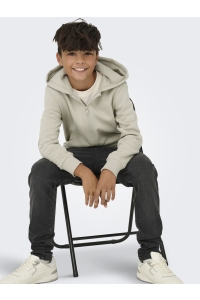 Only and Sons OSJCERES ZIP THR. HOODIE SWT NOOS silver lining