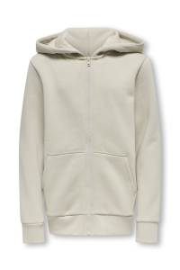 Only and Sons OSJCERES ZIP THR. HOODIE SWT NOOS silver lining