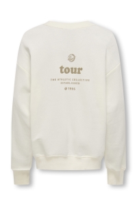 ONLY&SONS OSJTANNER LIFE RLX L/S O-NECK UB SW: tofu/print game