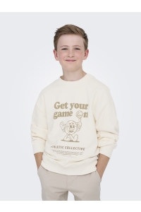 ONLY&SONS OSJTANNER LIFE RLX L/S O-NECK UB SW: tofu/print game