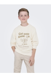 ONLY&SONS OSJTANNER LIFE RLX L/S O-NECK UB SW: tofu/print game