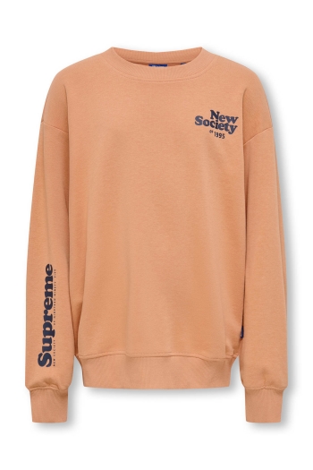 Only and Sons OSJTANNER LIFE RLX L/S O-NECK UB SW: