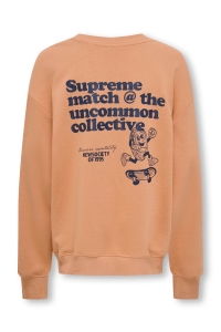 ONLY&SONS OSJTANNER LIFE RLX L/S O-NECK UB SW: cork/print supreme