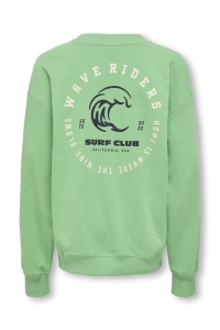 ONLY&SONS OSJBENJAMIN LIFE LOOSE LS O-NECK UB: ming/print surf