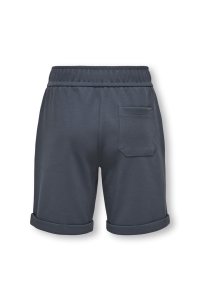 Only and Sons OSJNEW KODYL REG SHORTS SWT ombre blue