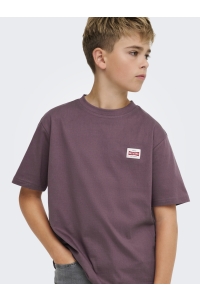 Only and Sons OSJFRED LIFE RLX SS LABEL TEE NOOS huckleberry
