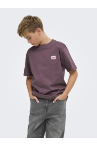 Only and Sons OSJFRED LIFE RLX SS LABEL TEE NOOS huckleberry