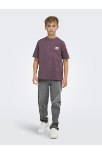 Only and Sons OSJFRED LIFE RLX SS LABEL TEE NOOS huckleberry