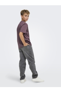Only and Sons OSJFRED LIFE RLX SS LABEL TEE NOOS huckleberry