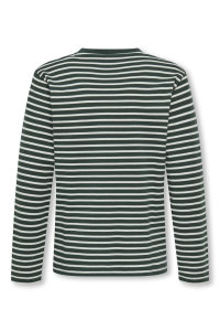 Only and Sons OSJDAWSON REG LS STRIPE TEE pine grove/egret