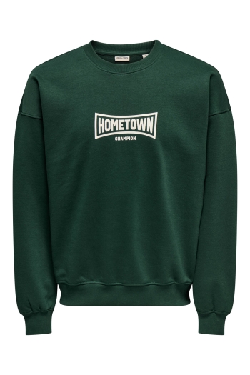 ONLY&SONS ONSTURNER VARSITY VTG CREW NECK SWE: