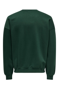 ONLY&SONS ONSTURNER VARSITY VTG CREW NECK SWE: pine grove/home town