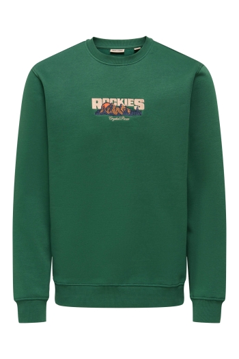 ONLY&SONS ONSCONNOR SIMPLE LIFE REG LS CREW S: