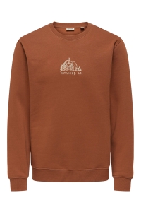 ONLY&SONS ONSCONNOR SIMPLE LIFE REG LS CREW S: sequoia/redwood co