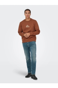 ONLY&SONS ONSCONNOR SIMPLE LIFE REG LS CREW S: sequoia/redwood co