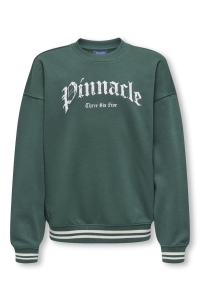 ONLY&SONS OSJCONNOR OVZ ART VTG LS CREW SWT trekking green/pinnacle