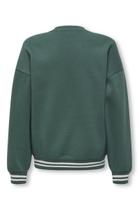 ONLY&SONS OSJCONNOR OVZ ART VTG LS CREW SWT trekking green/pinnacle