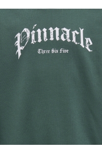 ONLY&SONS OSJCONNOR OVZ ART VTG LS CREW SWT trekking green/pinnacle