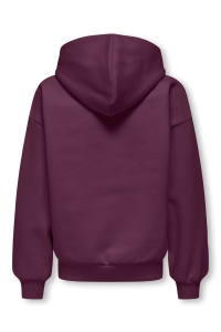 ONLY&SONS OSJGRAHAM RLX LS HOODIE SWT mauve wine/nebraska white