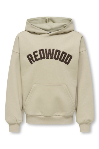 ONLY&SONS OSJGRAHAM RLX LS HOODIE SWT