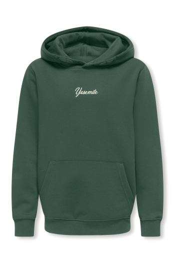 ONLY&SONS OSJHANS LIFE LS REG HOODIE SWT