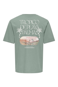 Only and Sons ONSMALIK TROPICO RLX SS TEE iceberg green/tropico deplaya