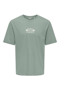 Only and Sons ONSMALIK TROPICO RLX SS TEE iceberg green/tropico deplaya