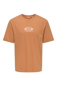 Only and Sons ONSMALIK TROPICO RLX SS TEE raw sienna/tropico deplaya
