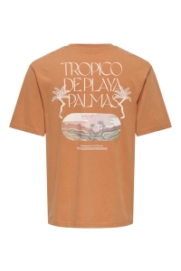 Only and Sons ONSMALIK TROPICO RLX SS TEE raw sienna/tropico deplaya