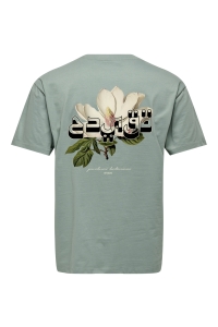 Only and Sons ONSFRANK RLX SS TEE NOOS chinois green/arabic flower