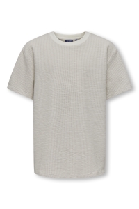 Only and Sons OSJKIAN LIFE RLX SS STRP TEE JRS NO: egret/pumice stone