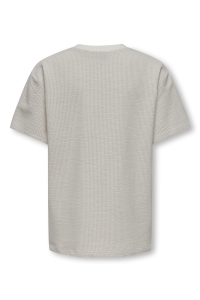 Only and Sons OSJKIAN LIFE RLX SS STRP TEE JRS NO: egret/pumice stone