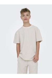 Only and Sons OSJKIAN LIFE RLX SS STRP TEE JRS NO: egret/pumice stone