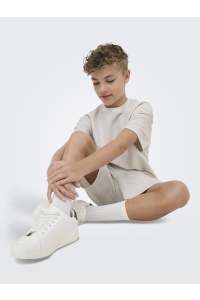 Only and Sons OSJKIAN LIFE RLX SS STRP TEE JRS NO: egret/pumice stone