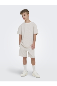 Only and Sons OSJKIAN LIFE RLX SS STRP TEE JRS NO: egret/pumice stone