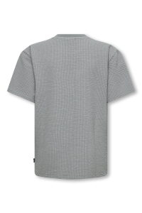 Only and Sons OSJKIAN LIFE RLX SS STRP TEE JRS NO: sedona sage/glacier gray