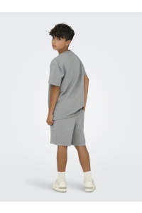 Only and Sons OSJKIAN LIFE RLX SS STRP TEE JRS NO: sedona sage/glacier gray