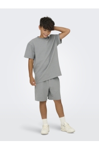 Only and Sons OSJKIAN LIFE RLX SS STRP TEE JRS NO: sedona sage/glacier gray